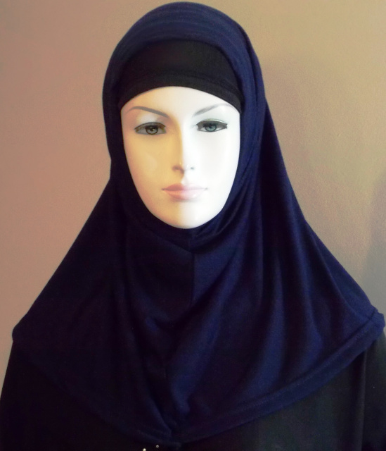 Mix and Match Plain Amira Hijab 4