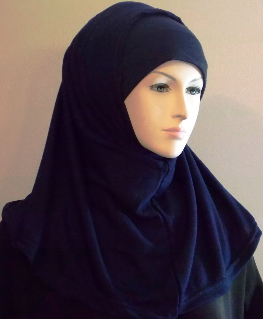 Mix and Match Plain Amira Hijab 2