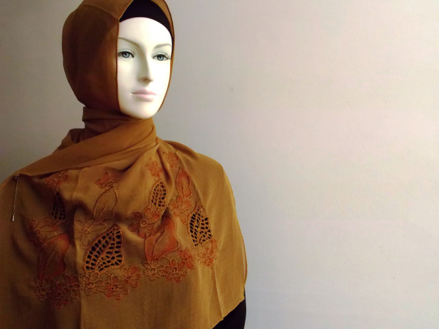 Reddish Brown Embroidered Lace Chiffon Shawl