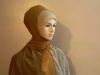 Pashmina   shawl 27